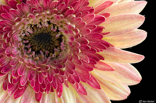 32263690000_08b96047a7_z