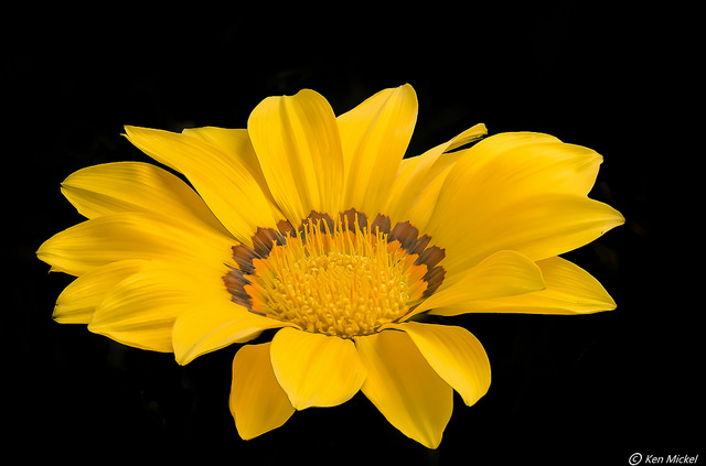 35170432251_b3134c3b5c_z