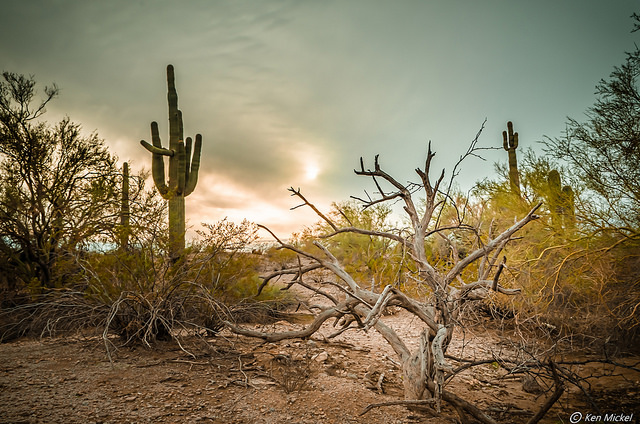 38406197606_48b490c958_z