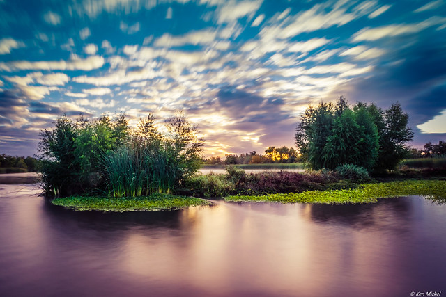 47435059752_4cd36c72c7_z